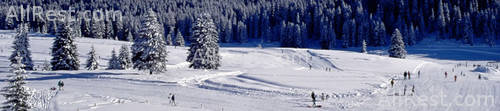 Alpen Suite Hotel 24